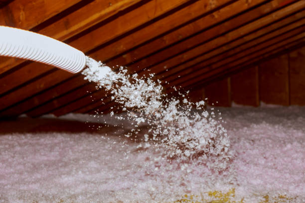 Best Residential Insulation in North Arlington, NJ